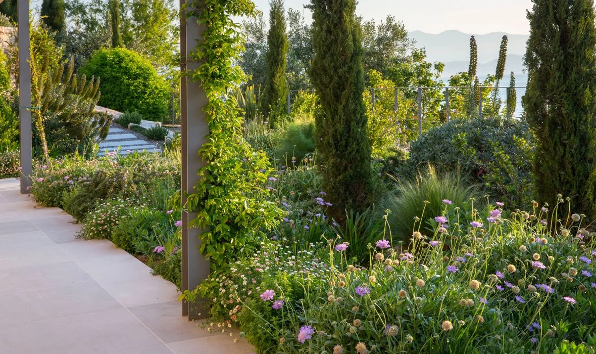 Skoposdesign_Anatoliko_11_Shrubs.jpg