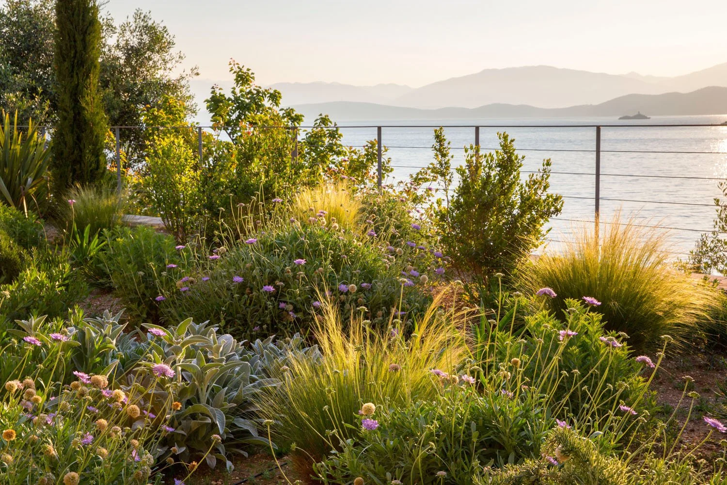 A lush garden overlooking a body of water with mountains in the distance, featuring various green plants and purple flowers, with a metal railing dividing the garden from the water.