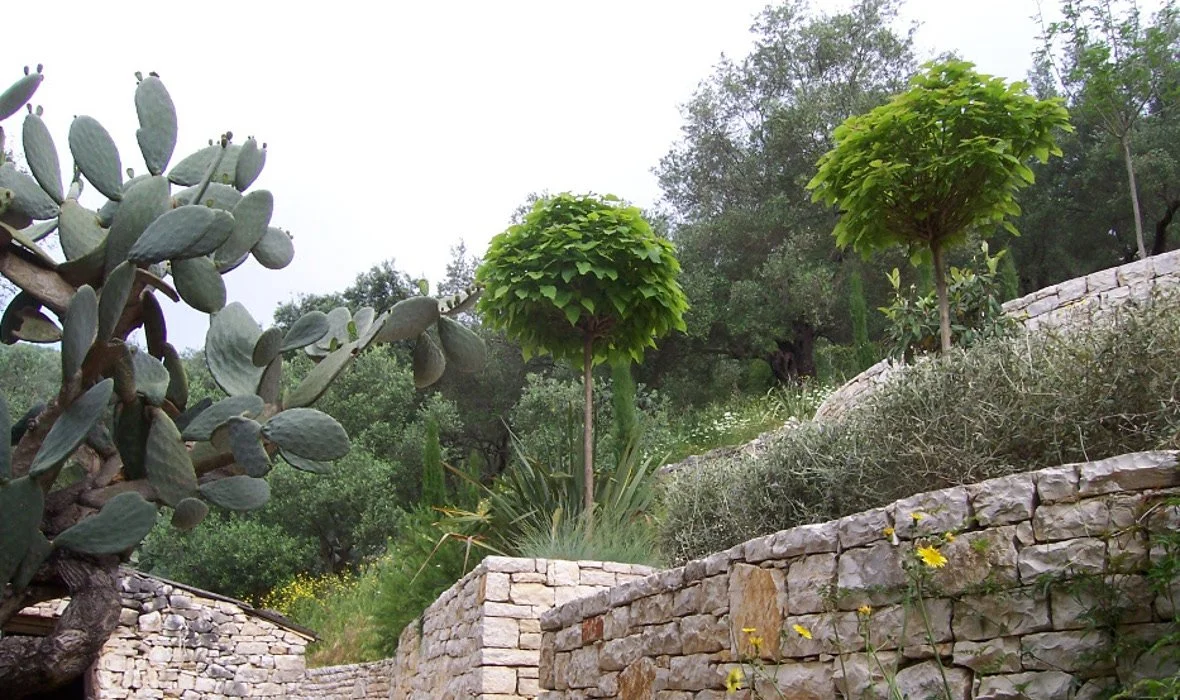 3_Villa Nafsika_SkoposDesign_Garden_2.jpg