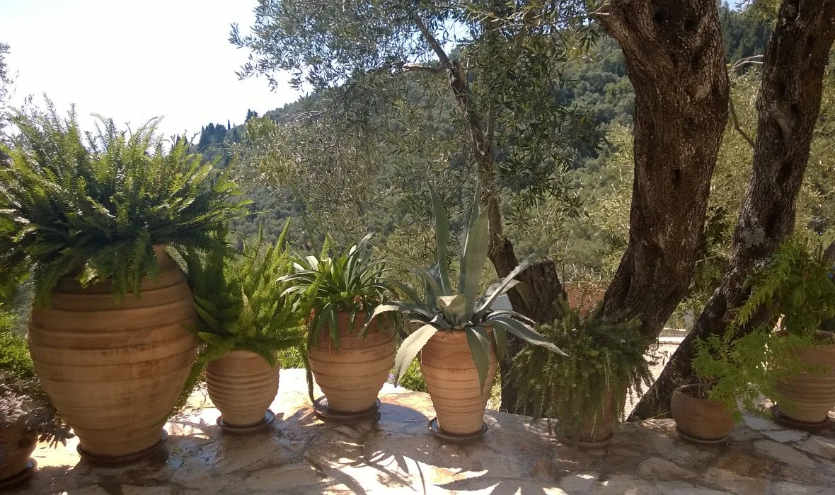 Arcadia_Corfu_Skoposdesign_Garden Pots.jpg