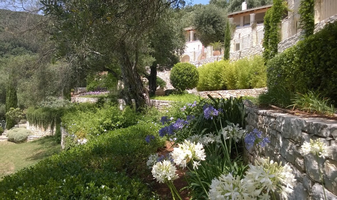 9_Villa Nafsika_SkoposDesign_Olive Grove.jpg