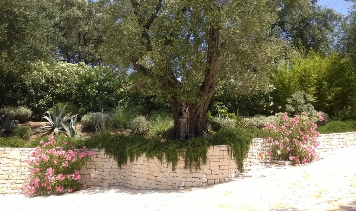 11_Villa Nafsika_Skoposdesign_Garden 4.jpg