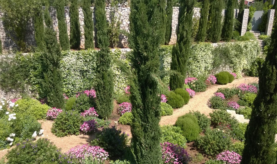5_PV Costeletos_Skoposdesign_Cypress Trees.jpg