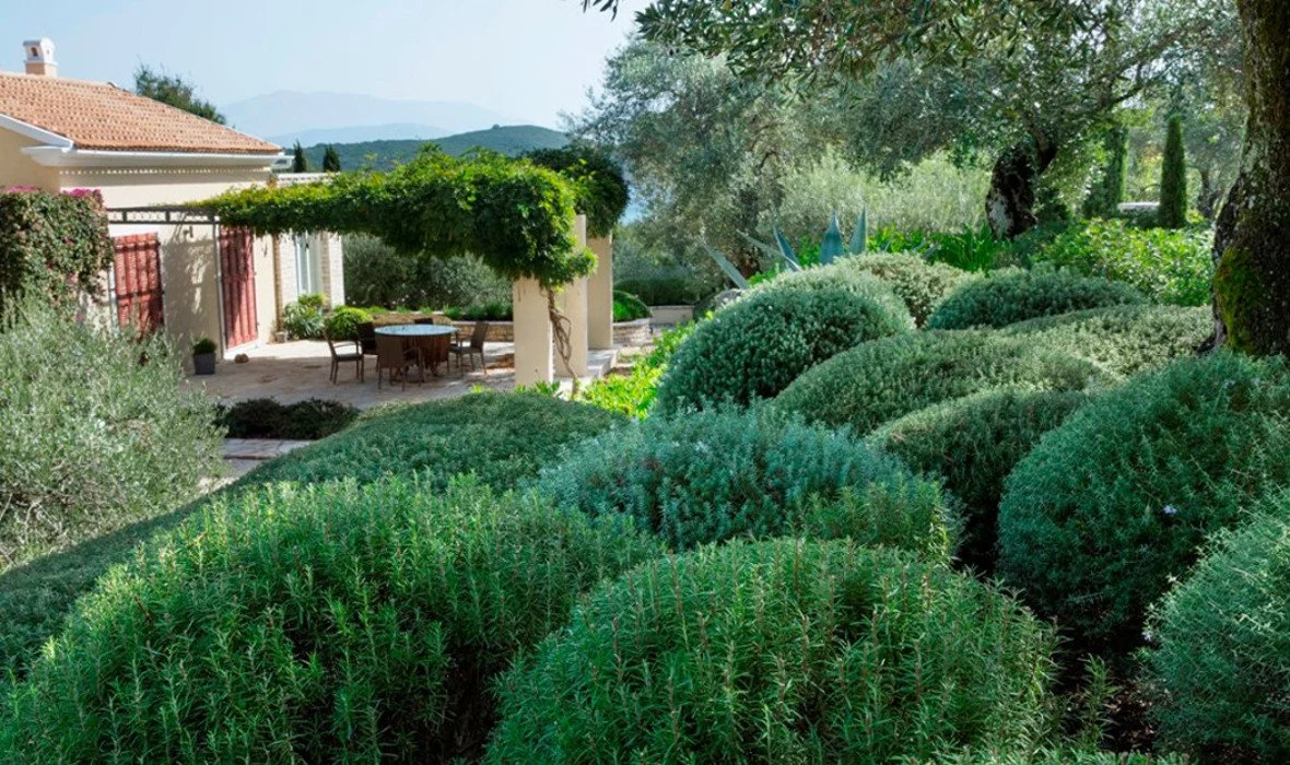 13_Villa Zographia_Skoposdesign_Lush Garden.jpg