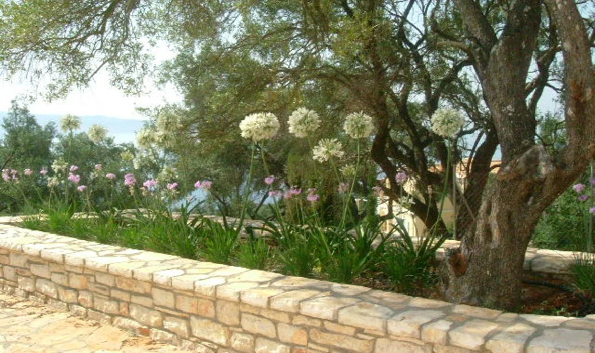 villa_livelula_corfu_Skoposdesign_garden3.JPG