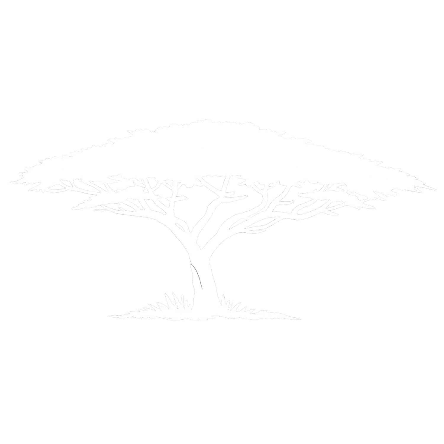 Acacia Sex &amp; Relationship Therapy