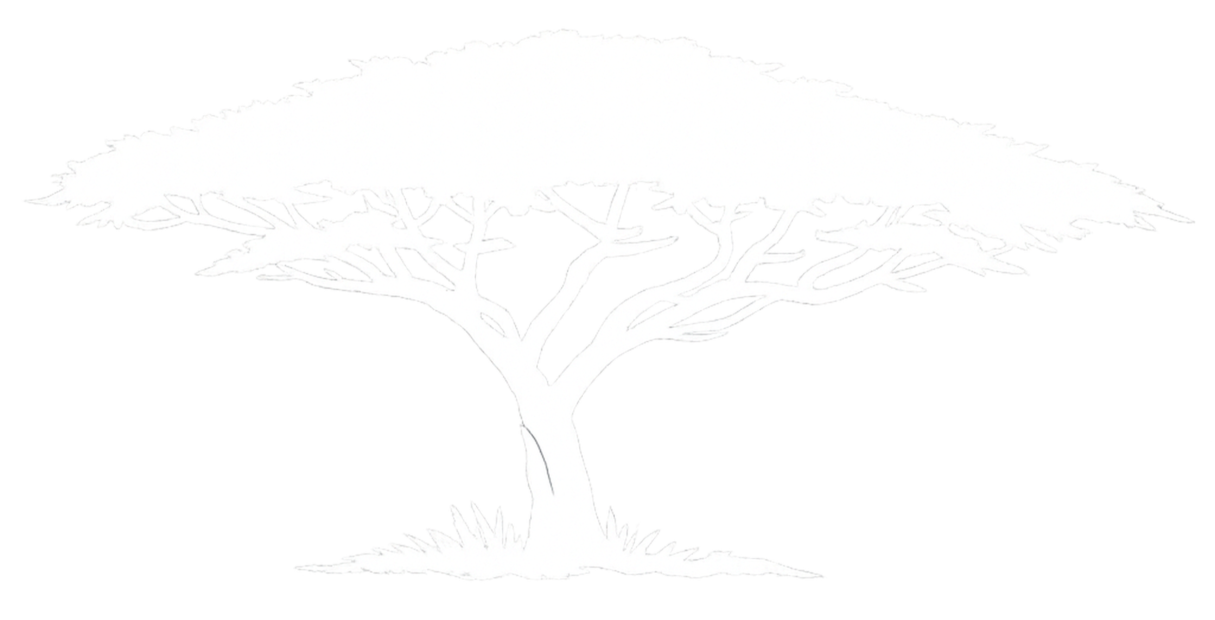 A white silhouette of a tree with a thick trunk and sprawling branches and leaves, standing on a small patch of grass.