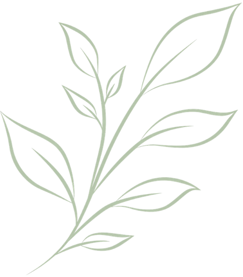 Line drawing of a leafy branch with multiple leaves.