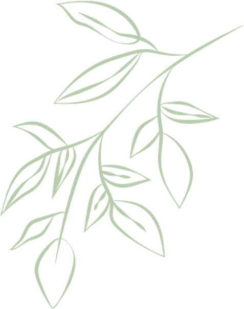 Line drawing of a branch with multiple leaves.