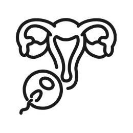 Simple line drawing of a uterus with an embryo or fetus at the bottom left.