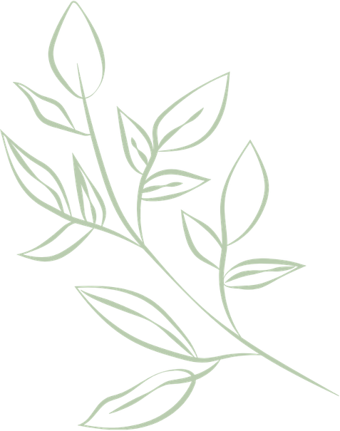 Line drawing of a leafy branch with multiple leaves on a black background