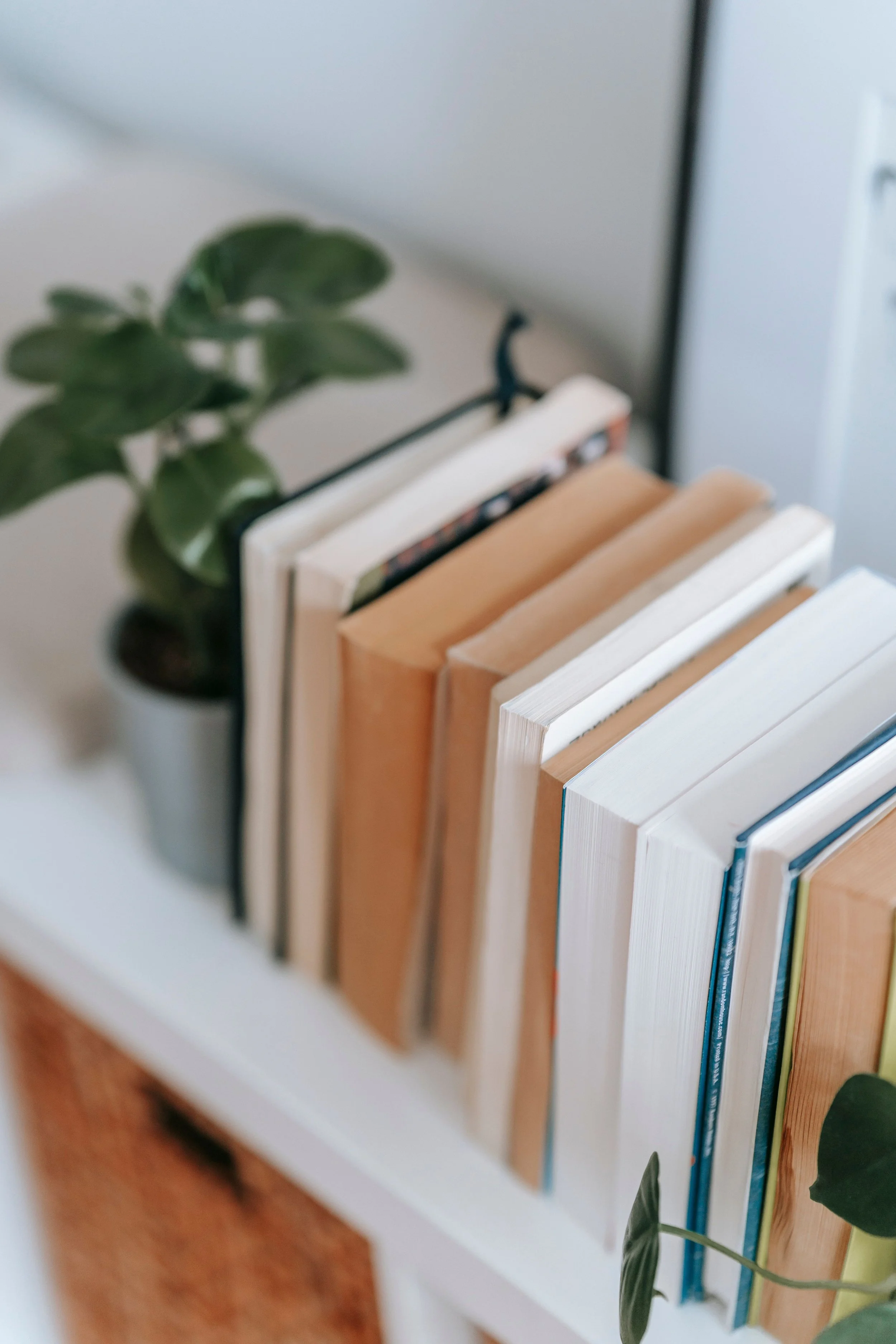 A white shelf with several books of various colors, mostly in orange, white, and blue, arranged vertically. There is a potted plant with dark green leaves next to the shelf on the left side. Part of a white wall and a gray corner are visible in the background.