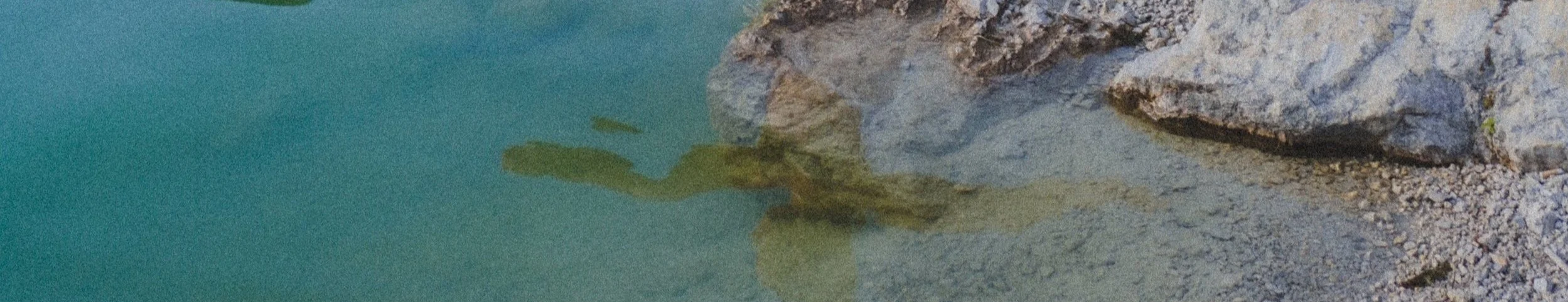 A person is swimming near a rocky shoreline with water and stones visible.
