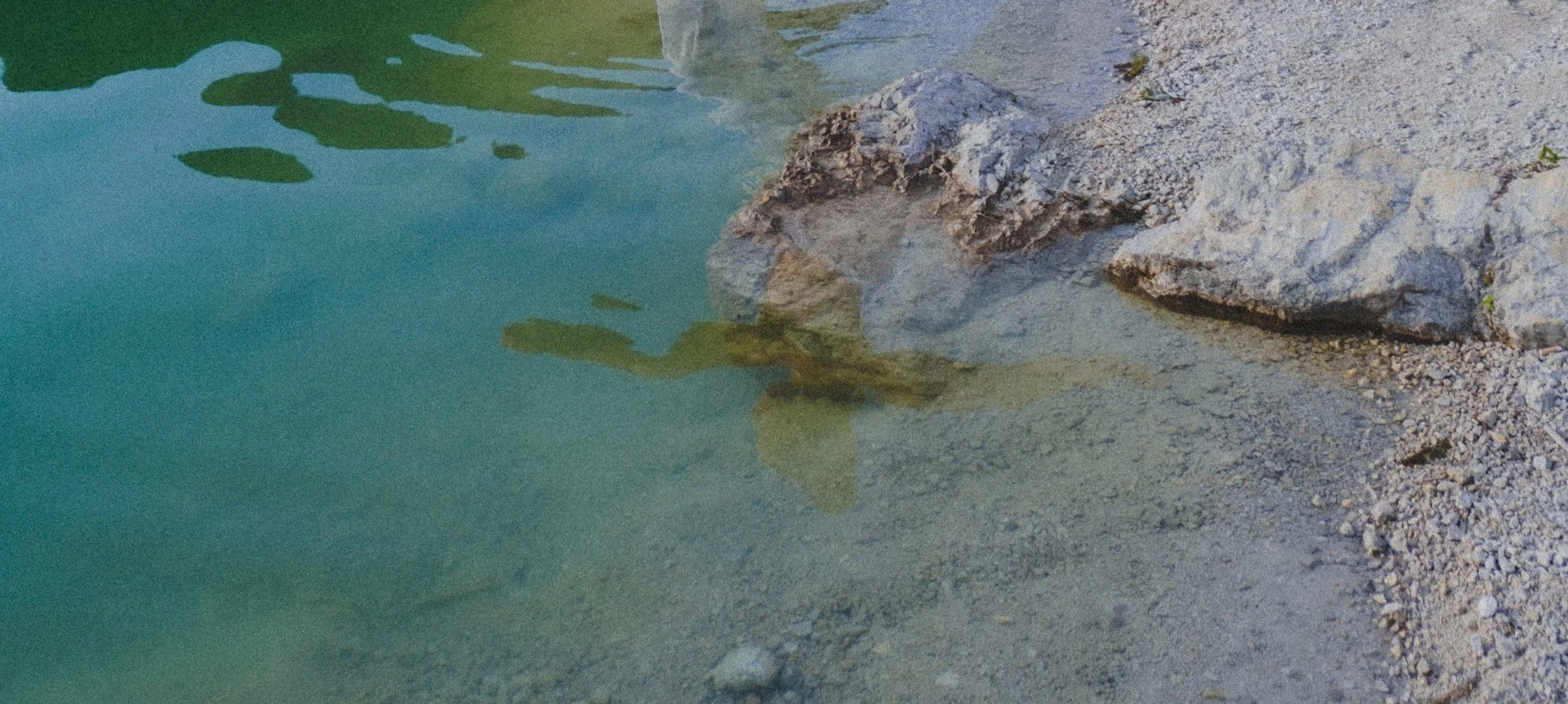 A small fish swimming near a rock at the edge of a clear body of water.