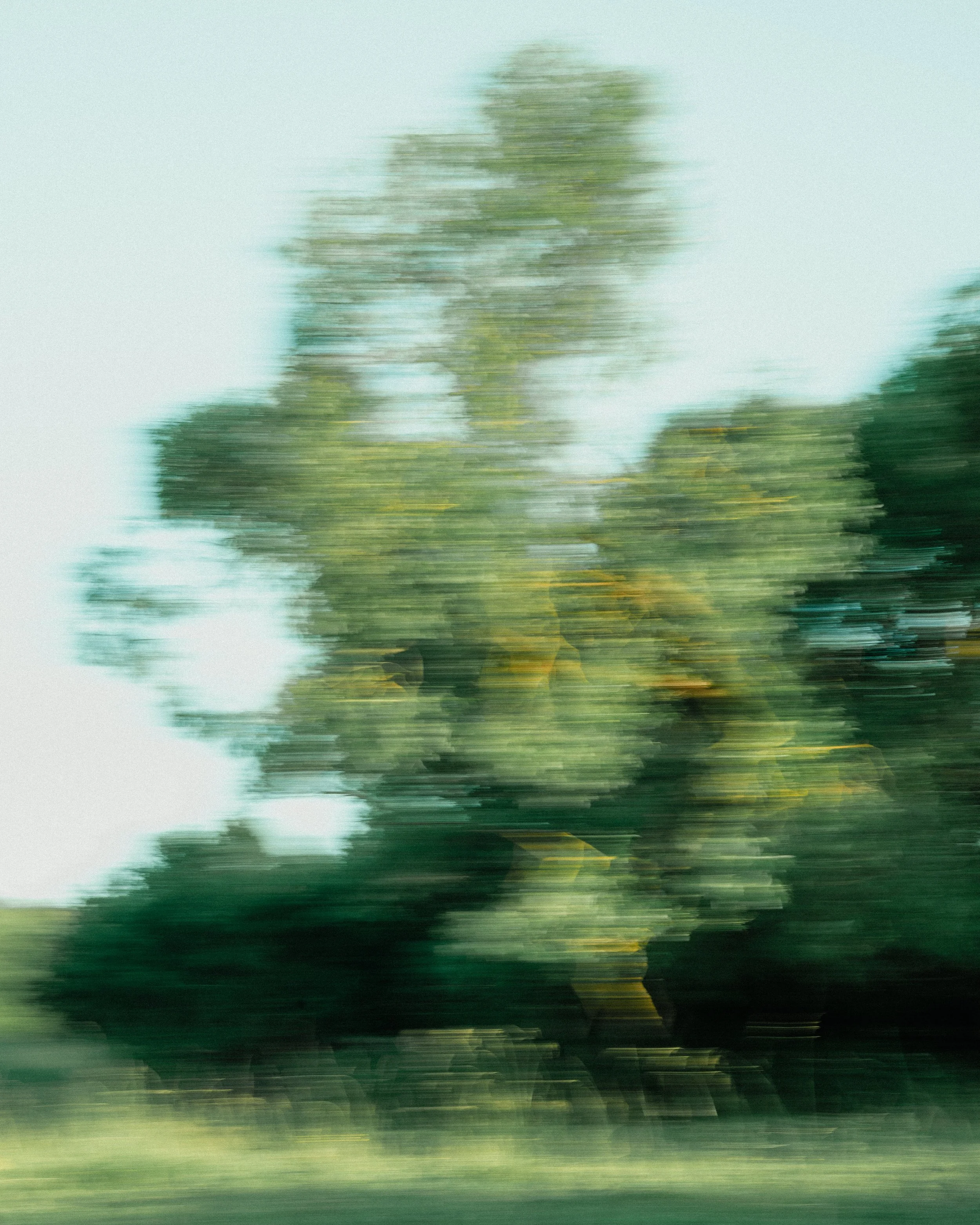 Blurred image of trees and sky taken from a moving vehicle, creating a motion effect.