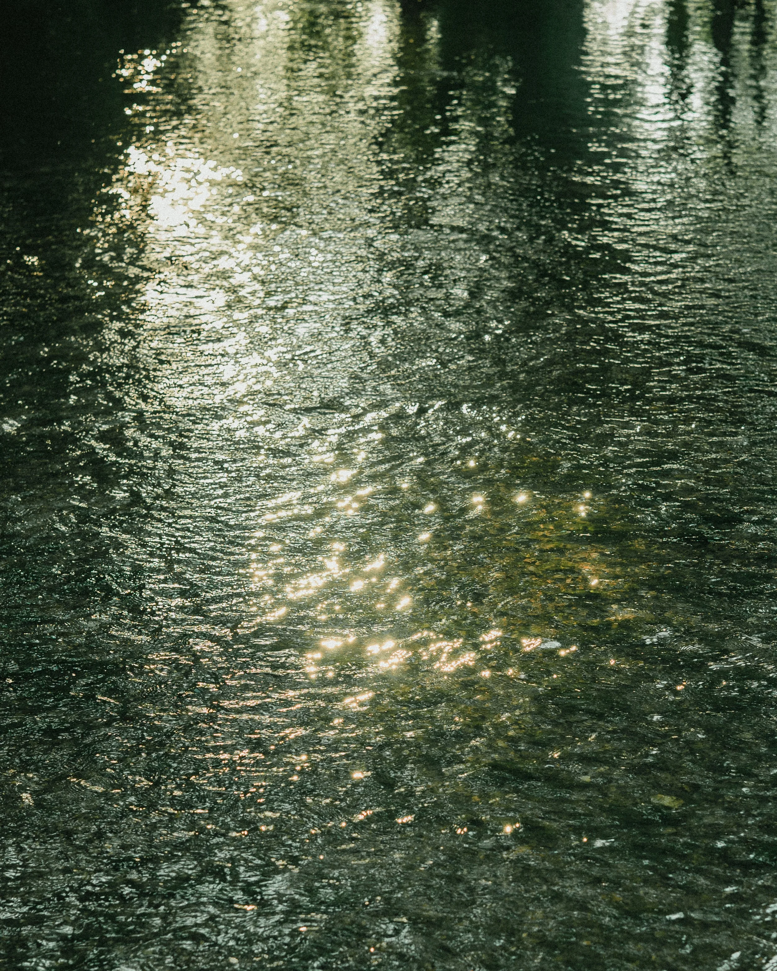Reflections of trees and sunlight on a rippling body of water, creating a shimmering, abstract pattern.