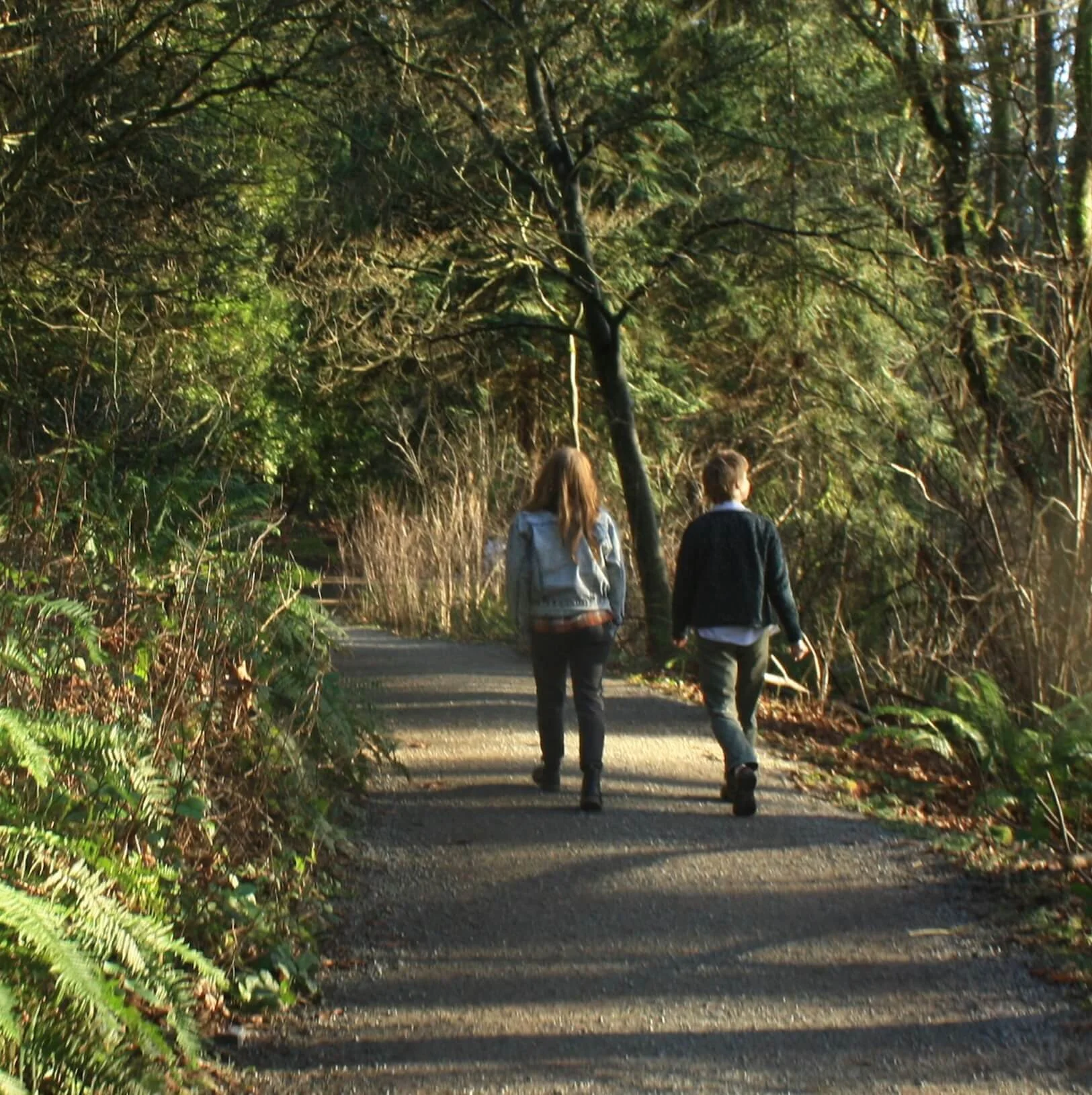Two people walking on a narrow forest trail surrounded by green foliage and trees.