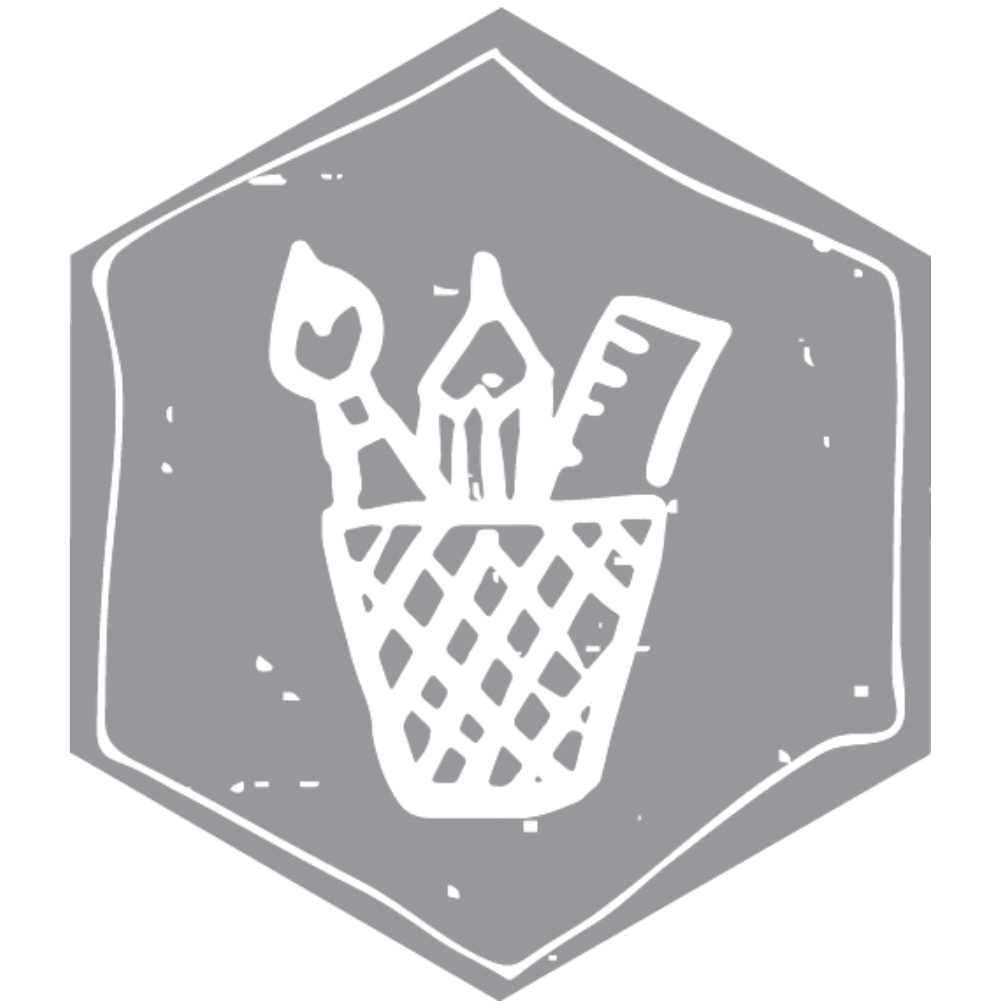 A logo with a gray outline of a hexagon containing a white skull and crossbones symbol, and the word "OAZ".