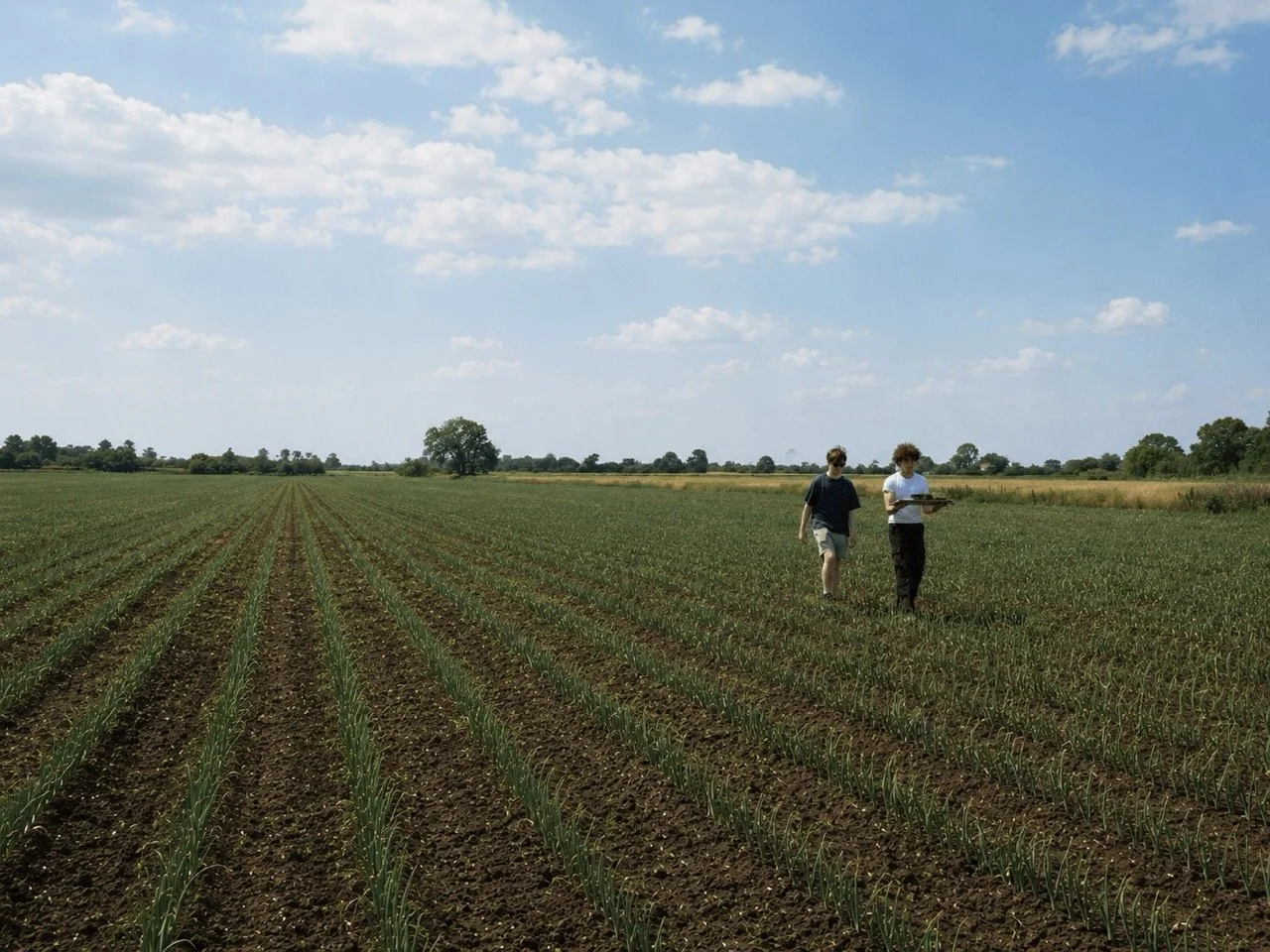 Assessing New Fields (of Vegetables)