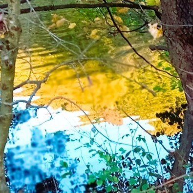 Natural Intelligence