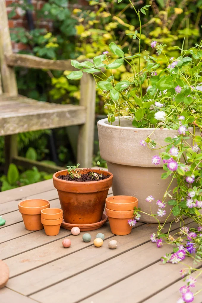 Twee grote plantenpotten met bloeiende planten en een klein terracotta plantenbakje met jonge plantjes, allemaal op een houten tuinbank, omgeven door tuinmateriaal en decoratieve gekleurde bolletjes.