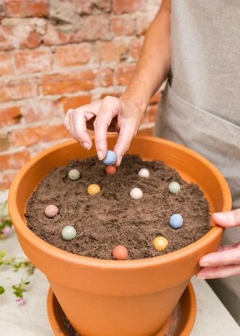 Persoon plant kleine gekleurde eieren in een grote terracotta bloempot gevuld met aarde, met een bakstenen muur op de achtergrond.