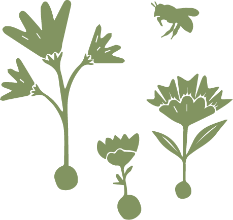 Illustratie van verschillende groene planten en een bij.