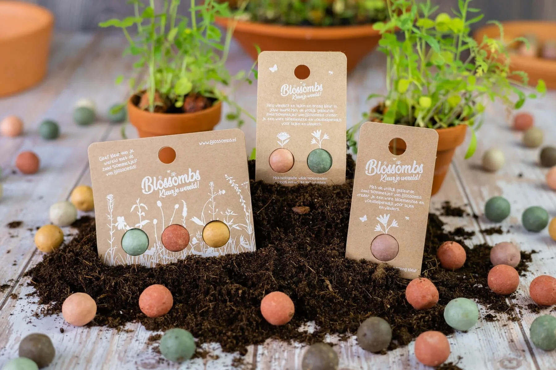 Twee kaarten met gekleurde zaden voor het kweken van bloemen of vlinders liggen in de aarde, met bloempotten en plantjes op de achtergrond.