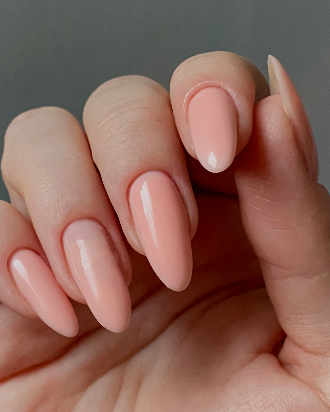 Certified Builder Gel Expert Course