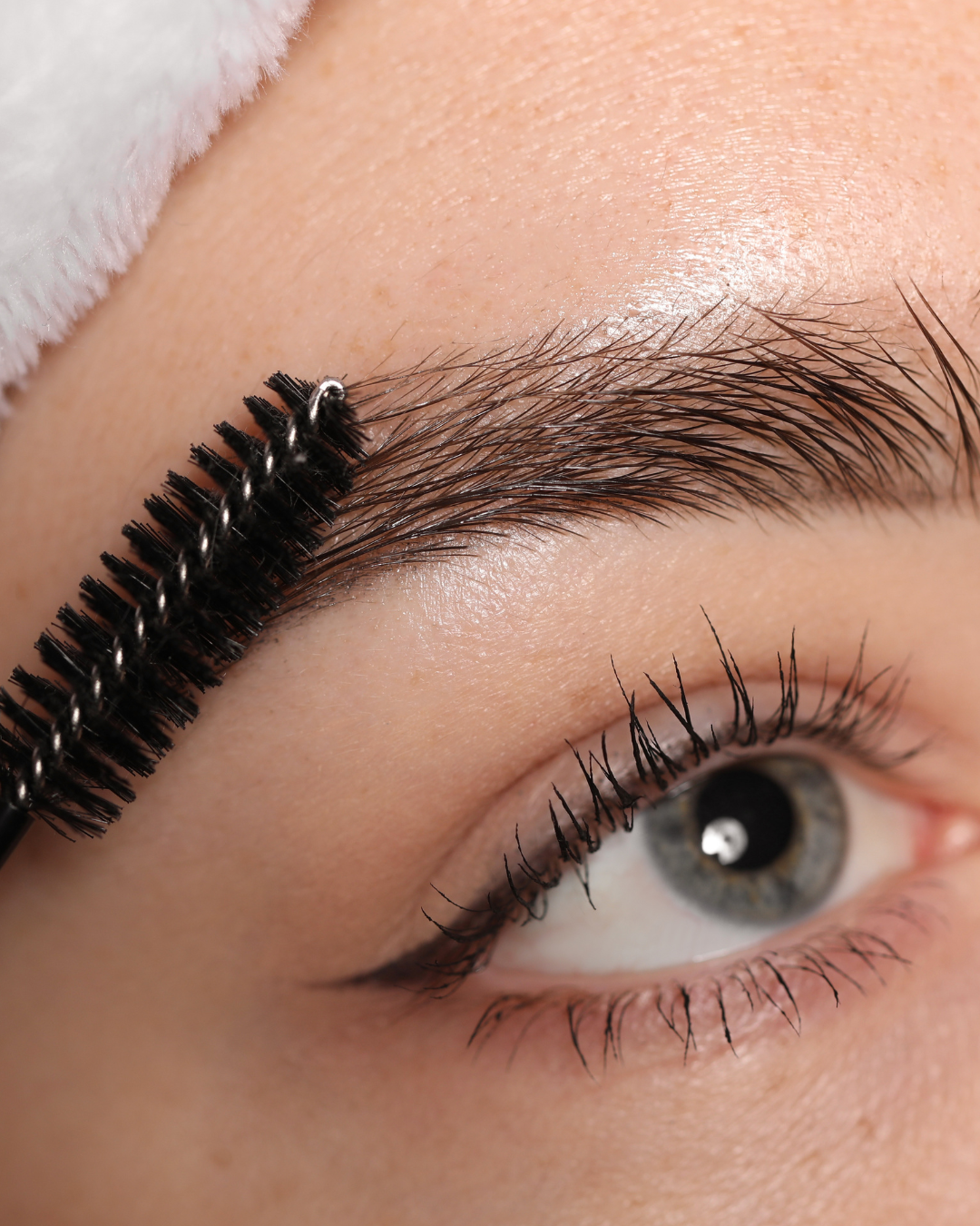 Start-Up Lash, Brow, Facial & Waxing Course Bundle