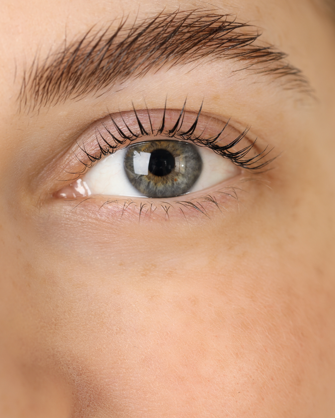 Lash Lift, Tint, Eyebrow Tinting & Waxing Course