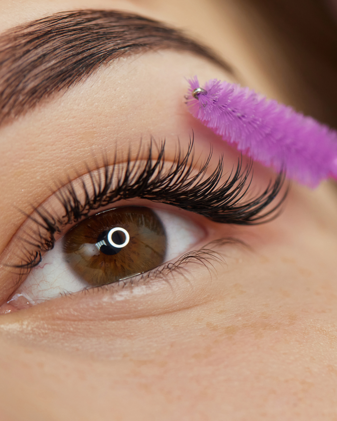 Classic & Advanced Classic Lash Bootcamp
