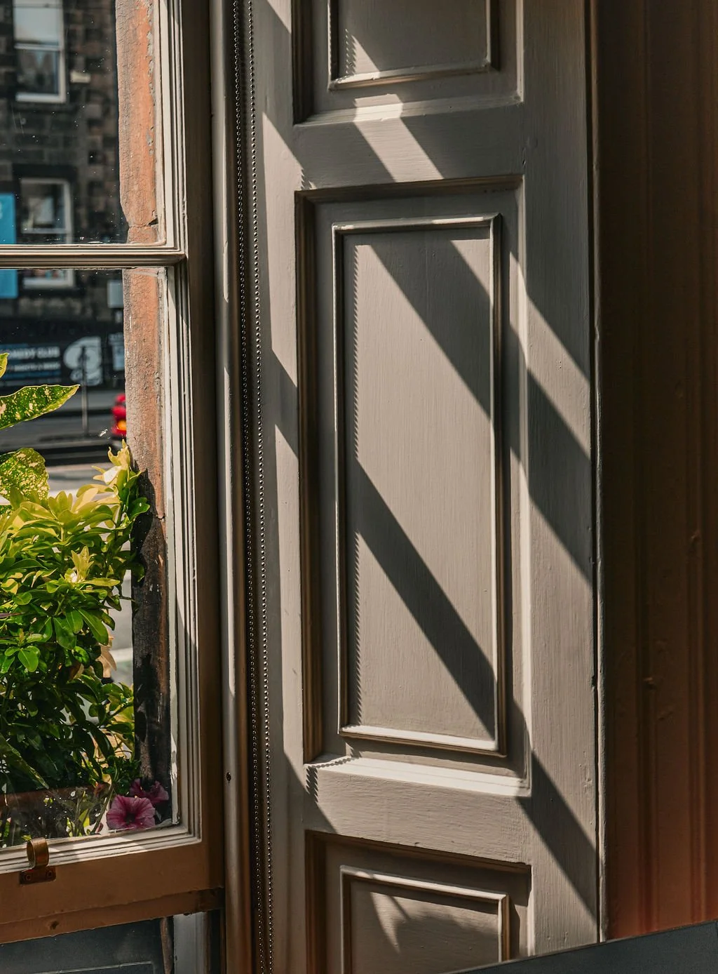Close-up of a window with sunlight casting shadows on a paneled door next to it, a plant with green and yellow leaves is visible in the lower left corner.