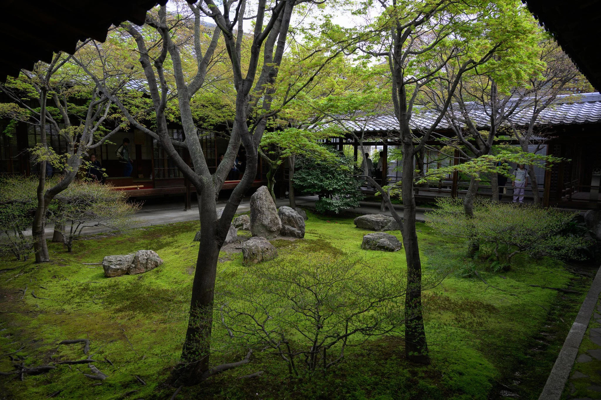 20260405Backroads of Japan0024.jpg