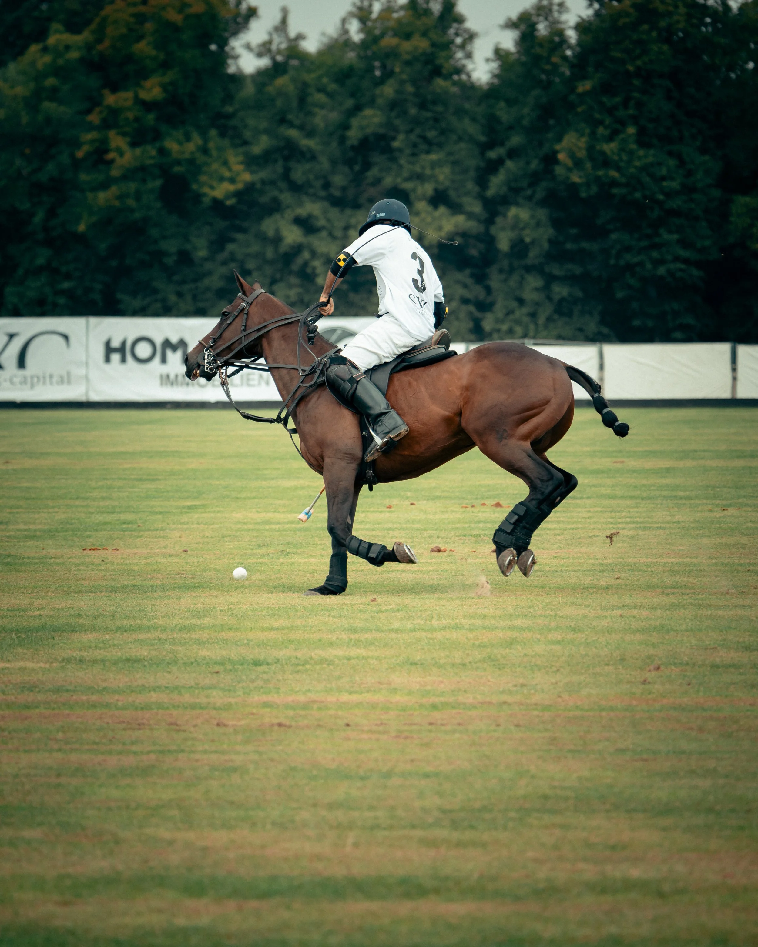 PoloPicknick25-25.jpg