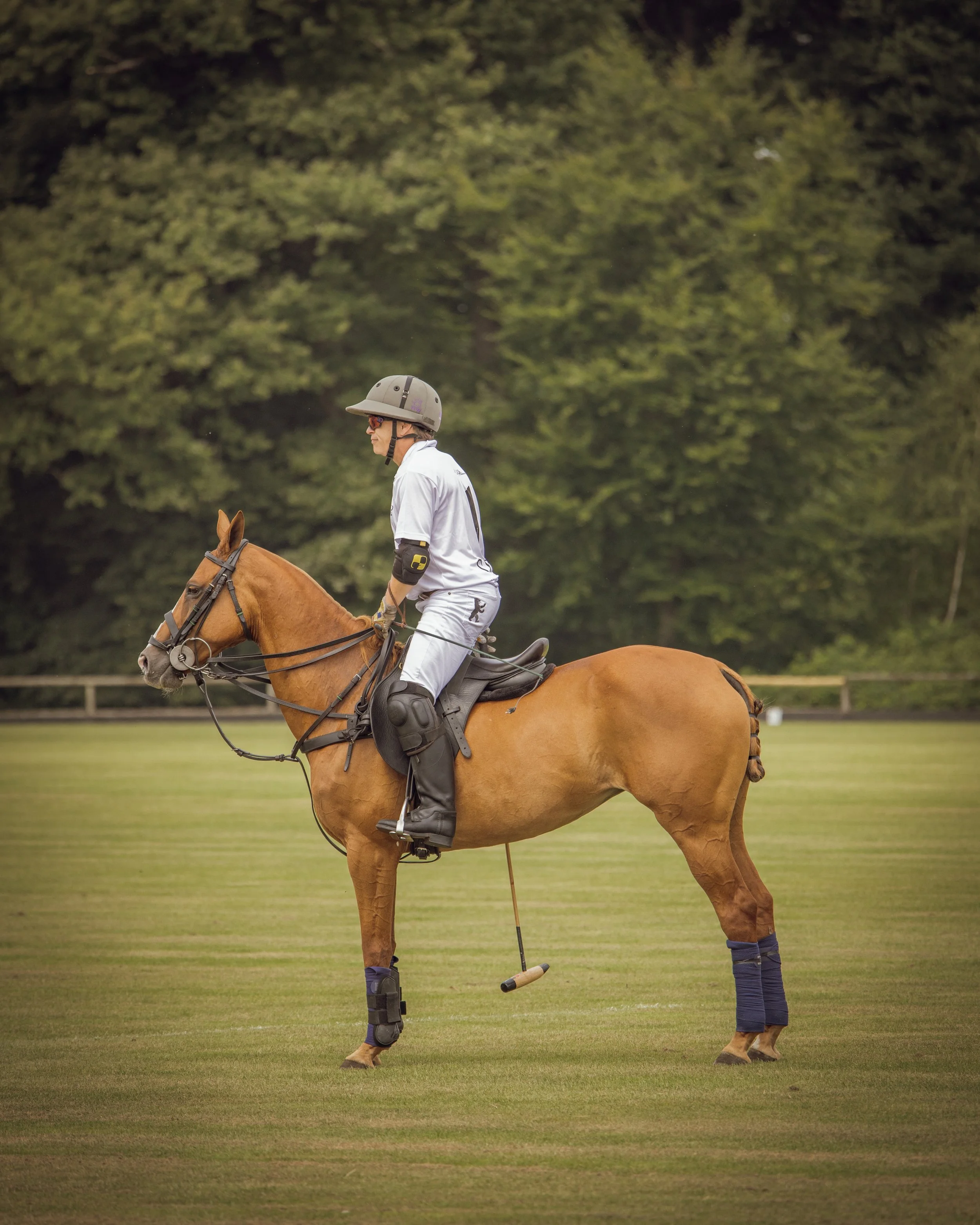 PoloPicknick25-20.jpg
