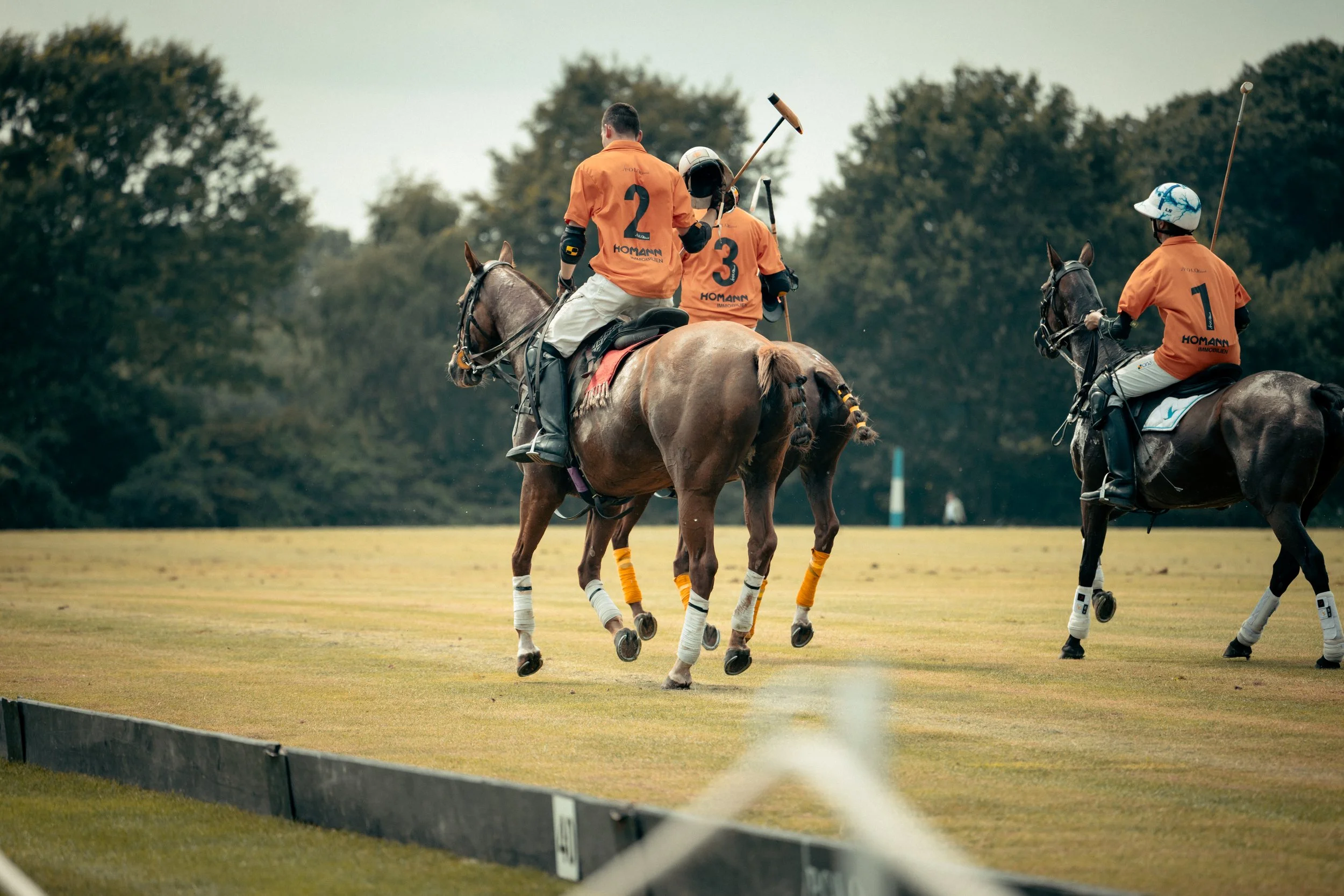PoloPicknick25-100.jpg