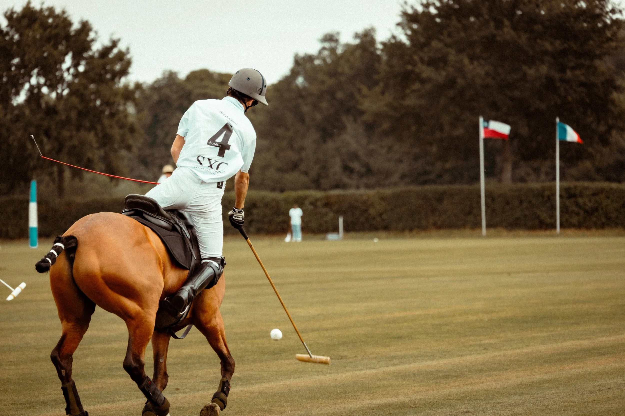 PoloPicknick25-30.jpg