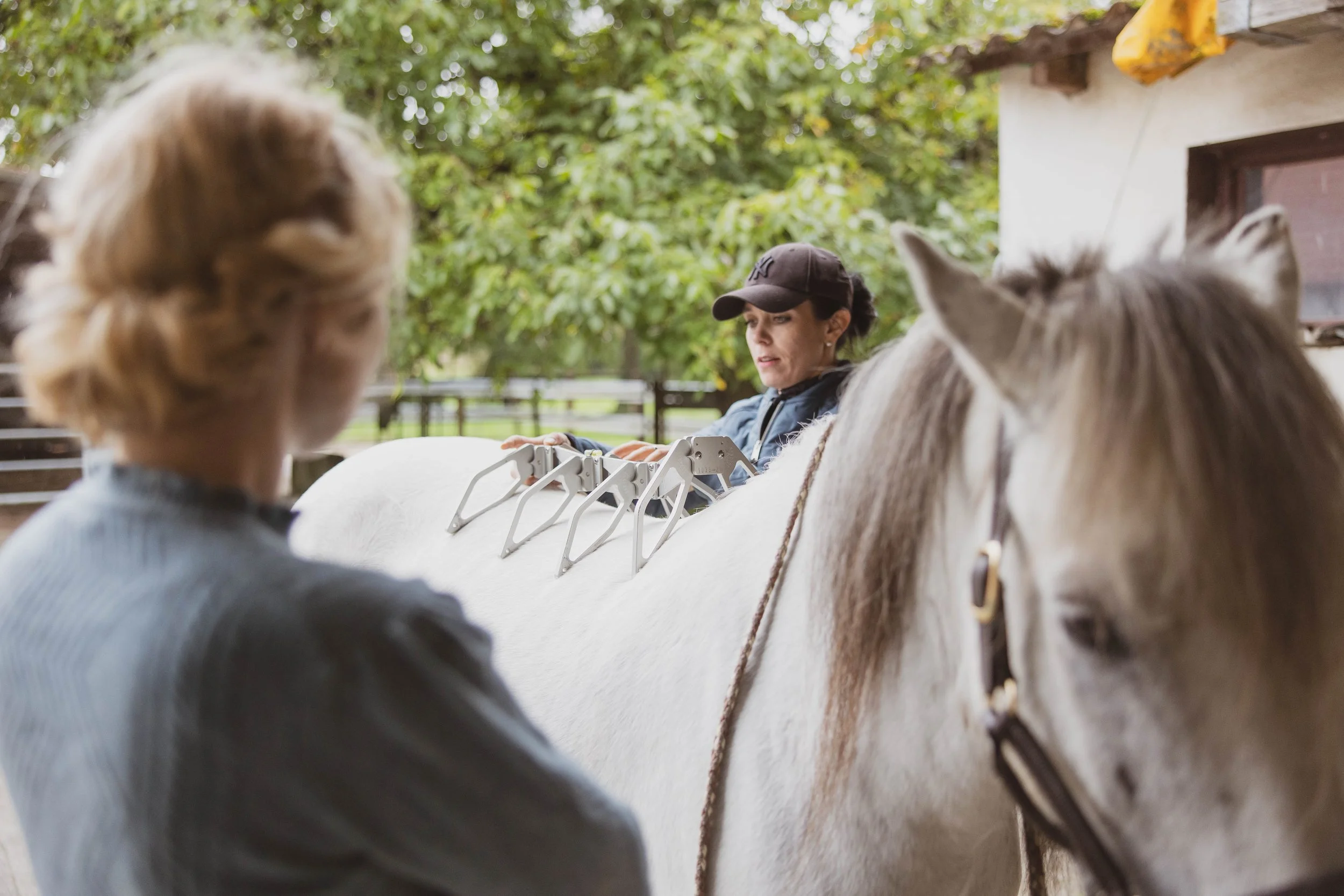 Woman with dark hair wearing a baseball cap and a jacket, tending to a white horse with a bridle and curb bit, in an outdoor setting with trees and a building in the background.