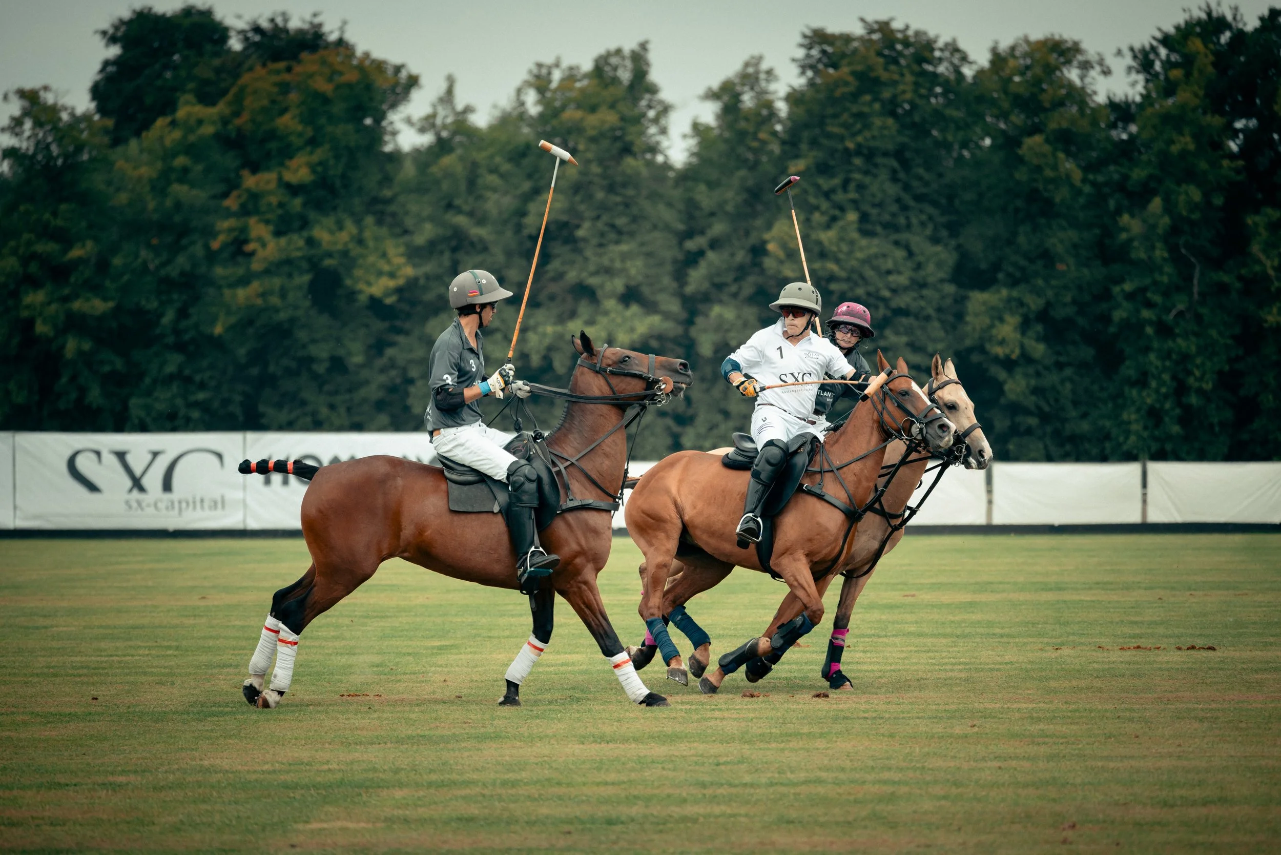 PoloPicknick25-23.jpg