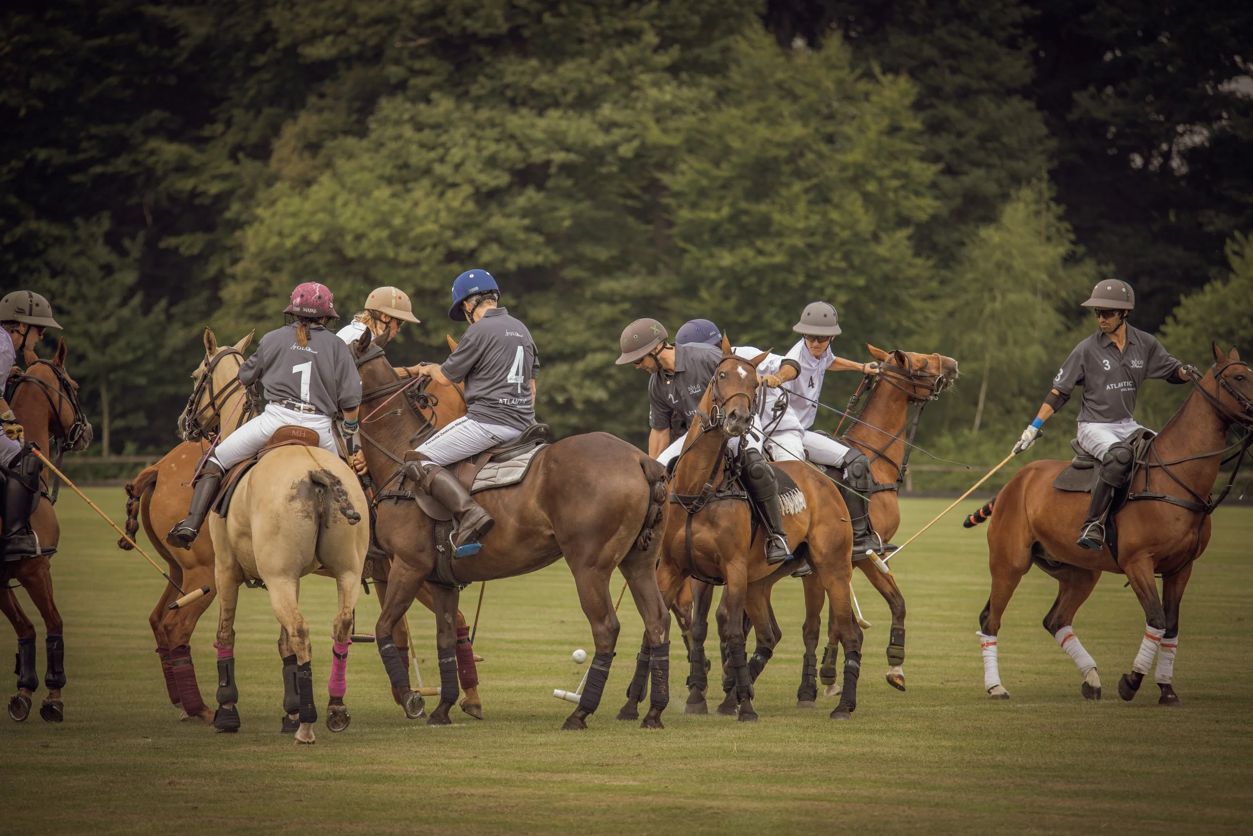 PoloPicknick25-22.jpg