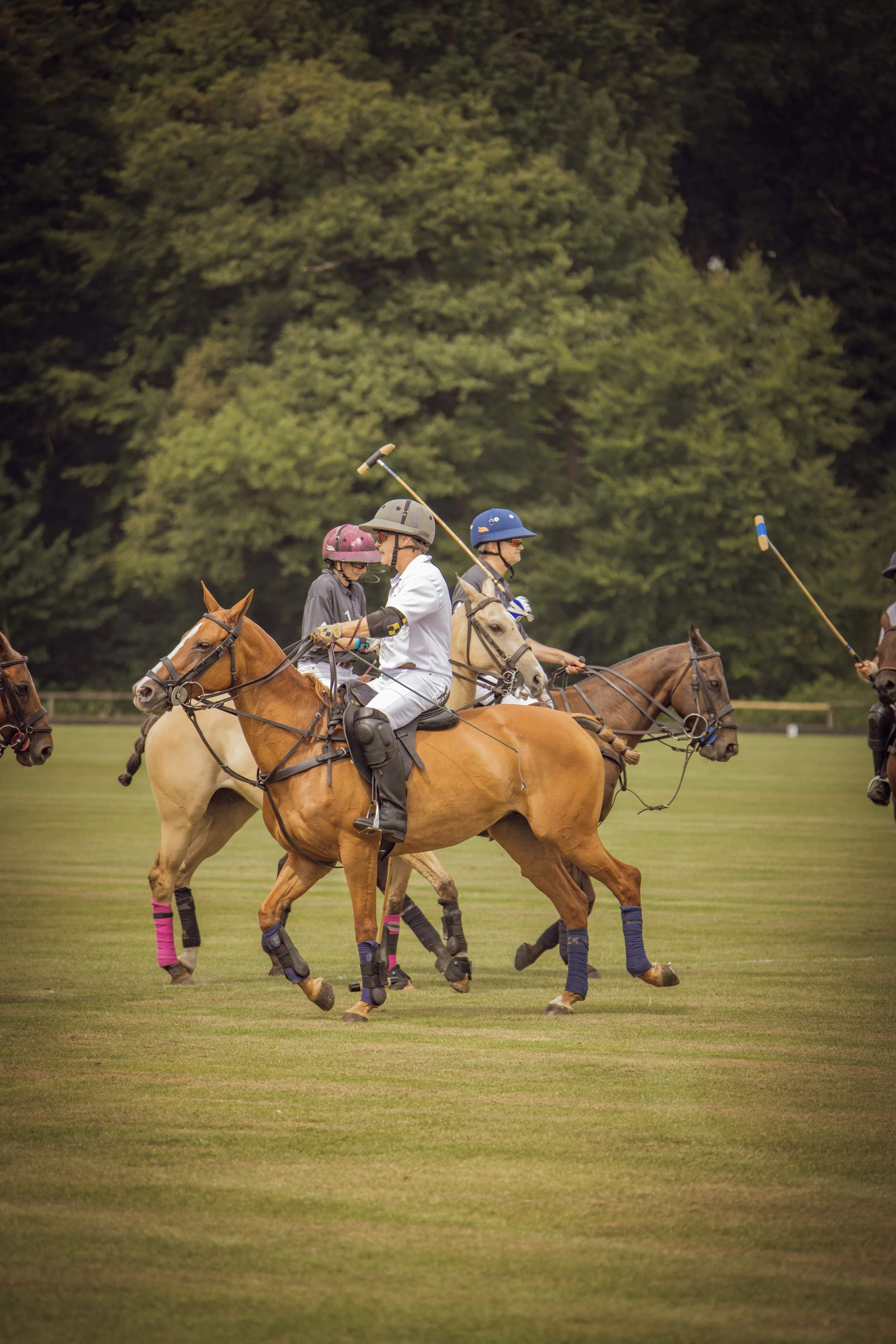PoloPicknick25-21.jpg