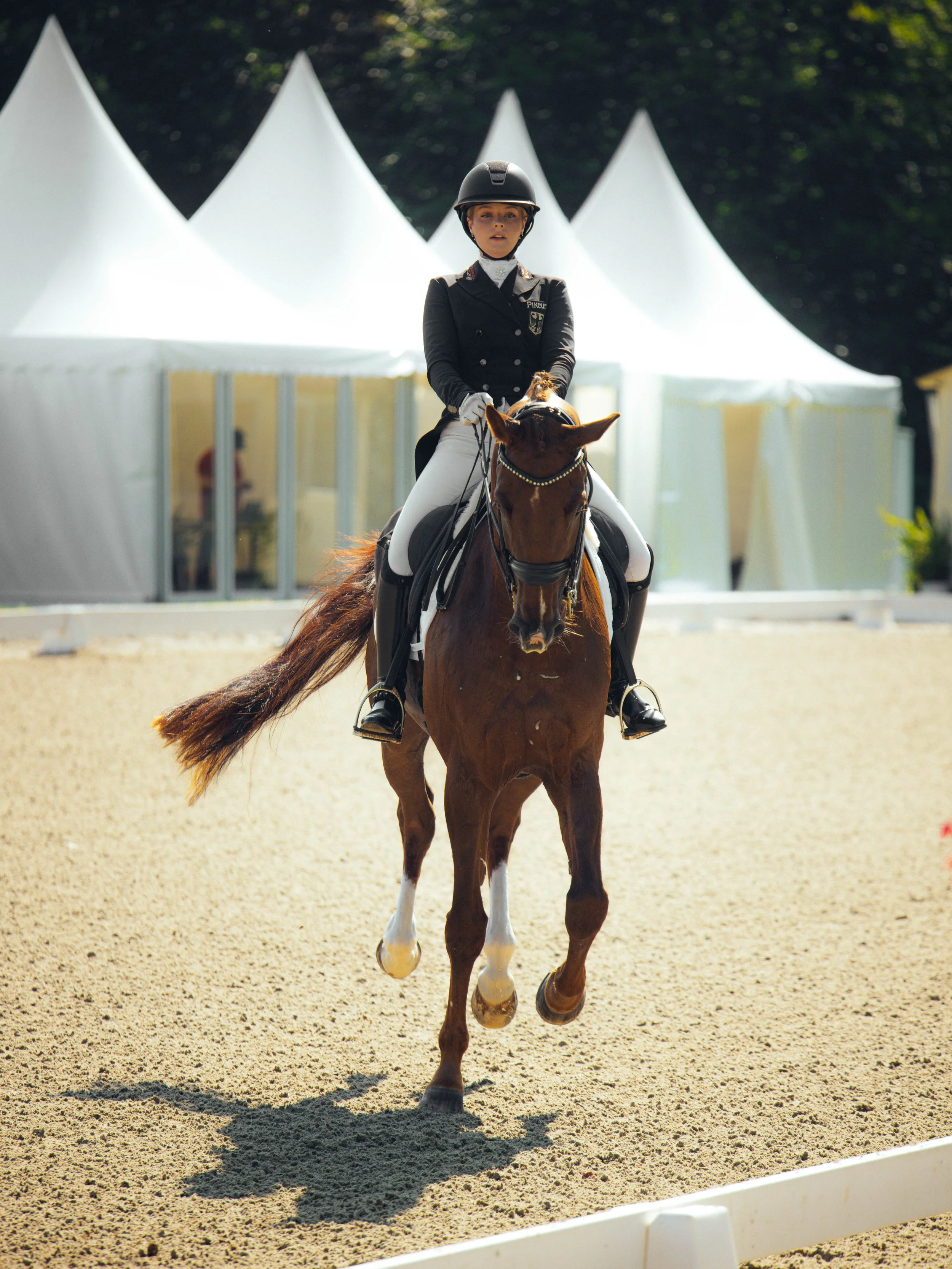 Dressage 2025
