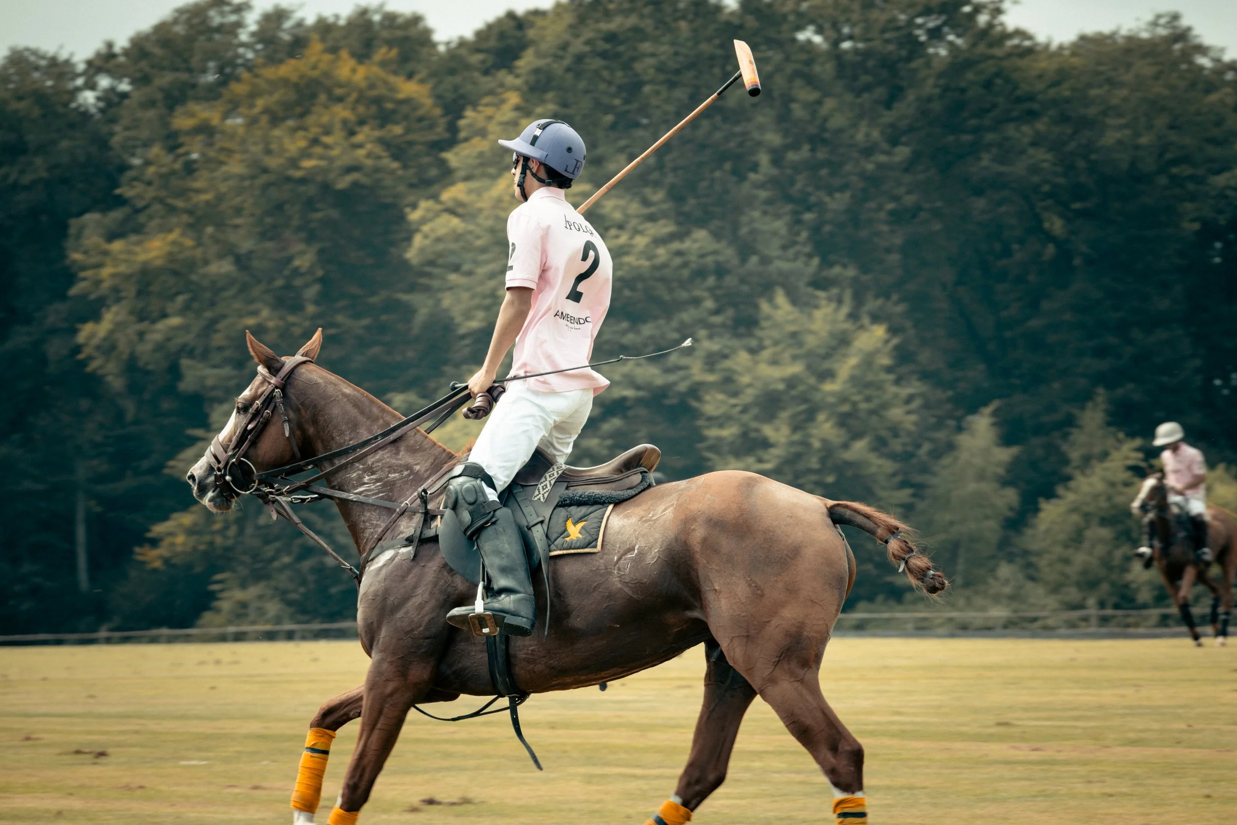 PoloPicknick25-95.jpg