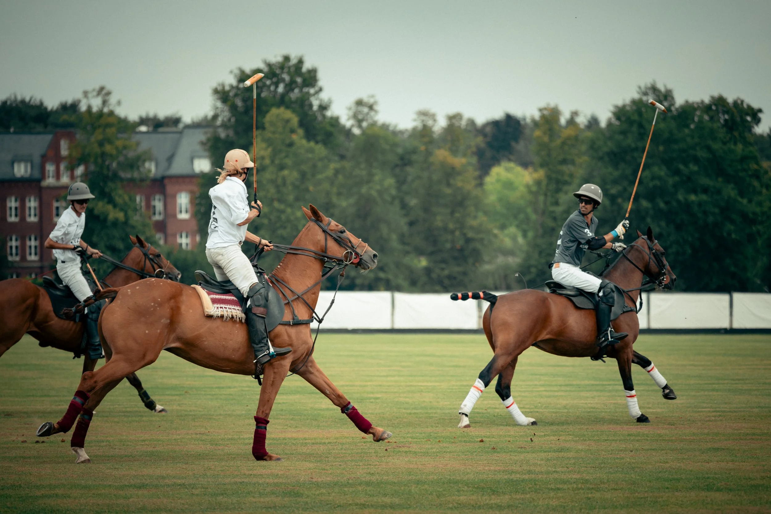 PoloPicknick25-24.jpg