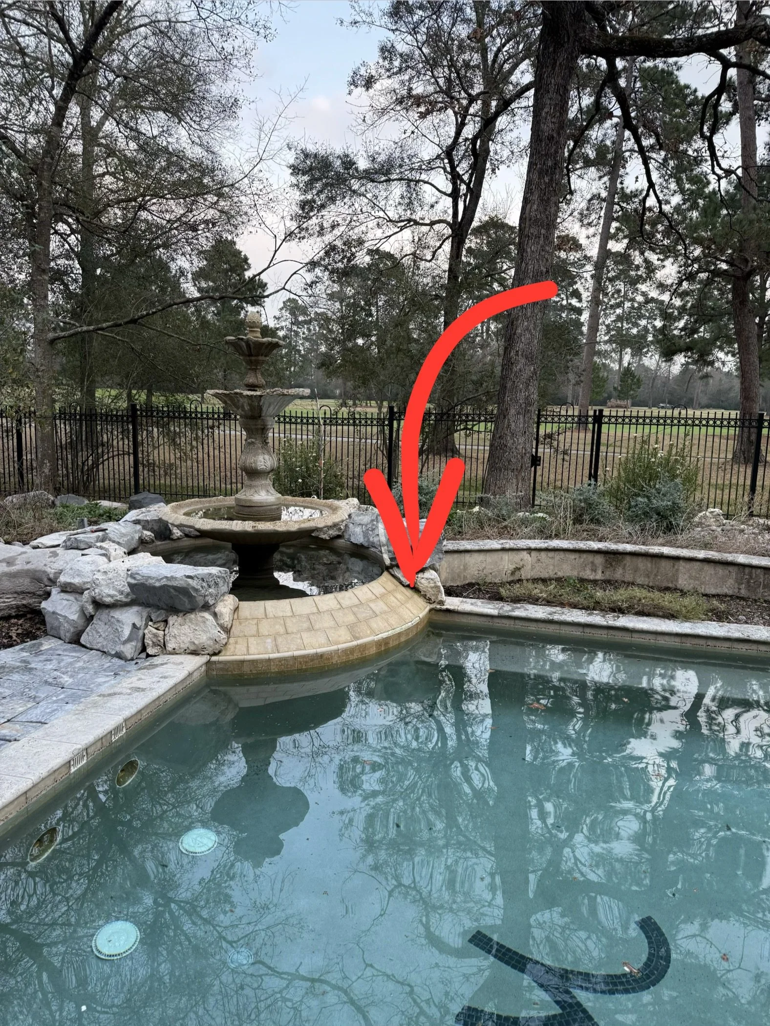A backyard with a swimming pool, a fountain, trees, and a black metal fence. A red arrow points to a small, curved, black object submerged in the pool.