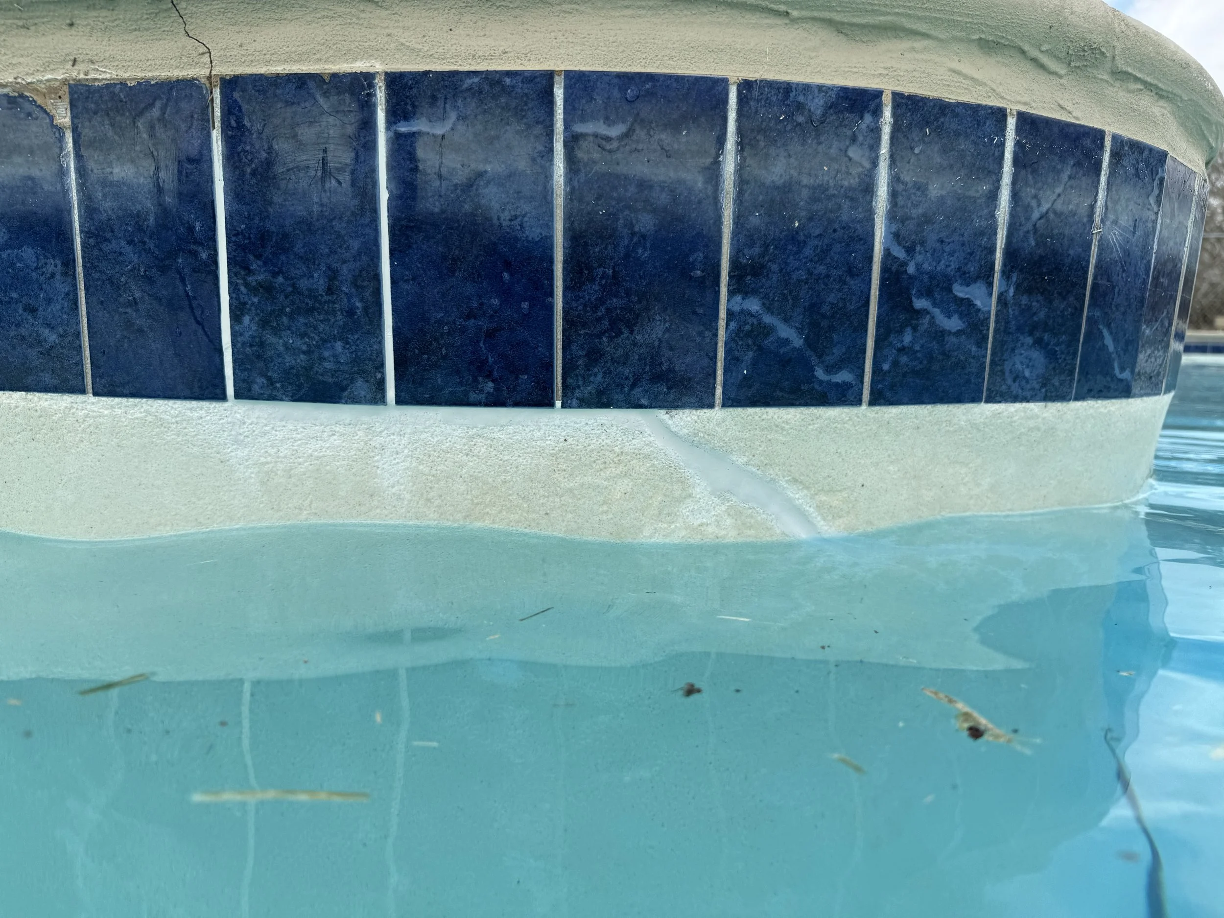Close-up of a swimming pool's tiled edge and water surface, with small debris and dirt visible at the bottom.
