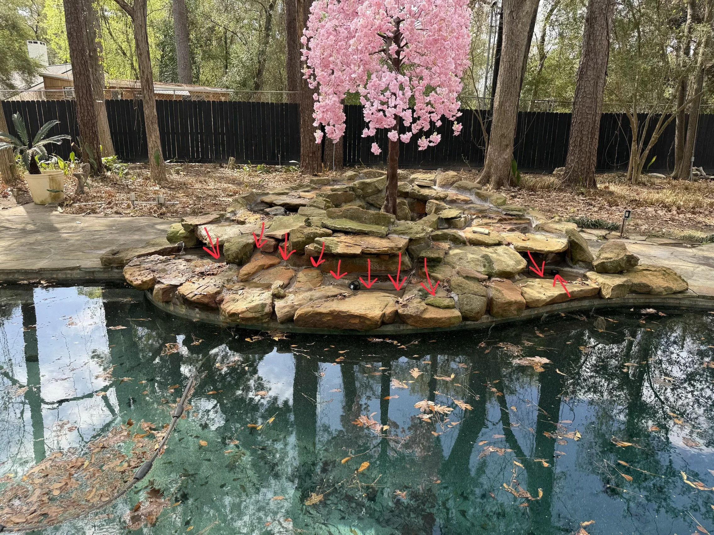 A backyard with a pond surrounded by rocks and fallen autumn leaves. There is a small artificial tree with pink blossoms in the center of the pond, and a black fence in the background. Tall trees and a house are visible beyond the fence.