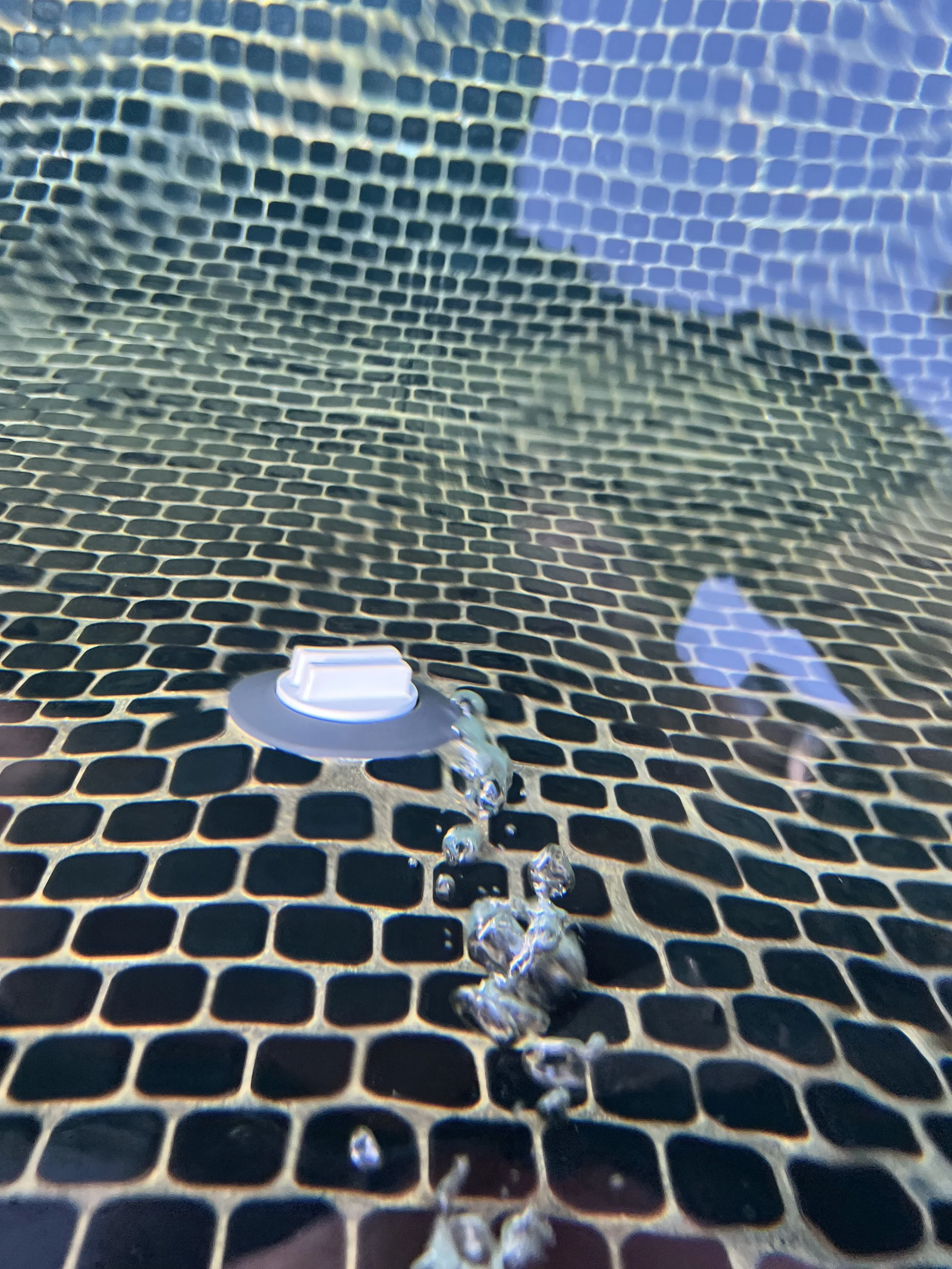 Close-up image of a black surface with a white, circular object attached to it and clear water droplets falling from it.