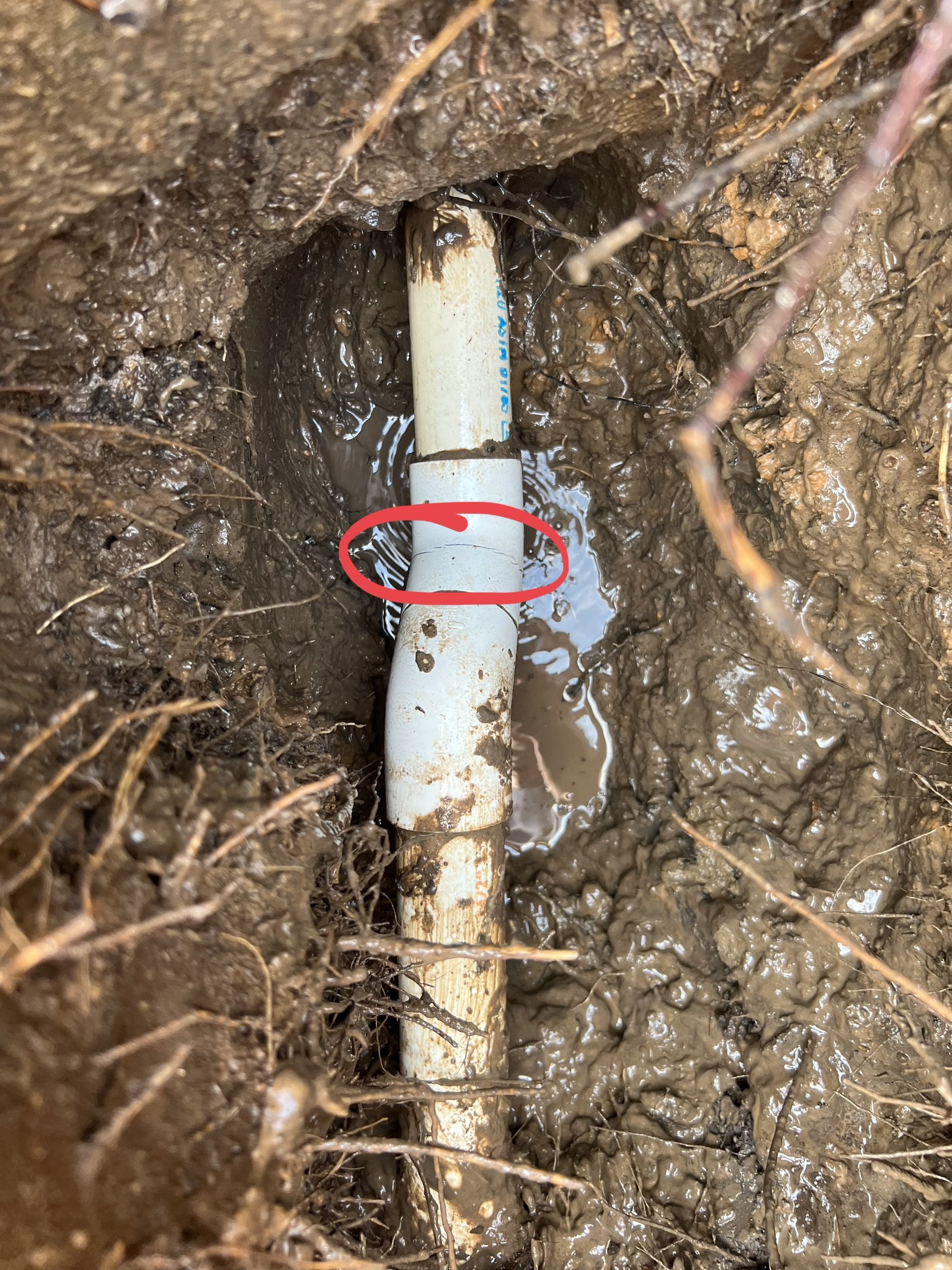 Close-up of an underground pipe replacement, showing a white PVC pipe with a blue marking surrounded by soil and mud, with roots and water around the pipe.